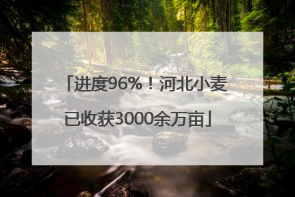 进度96%！河北小麦已收获3000余万亩