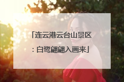 连云港云台山景区：白鹭翩翩入画来