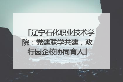 辽宁石化职业技术学院：党建联学共建，政行园企校协同育人