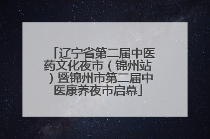 辽宁省第二届中医药文化夜市（锦州站）暨锦州市第二届中医康养夜市启幕