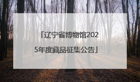 辽宁省博物馆2025年度藏品征集公告