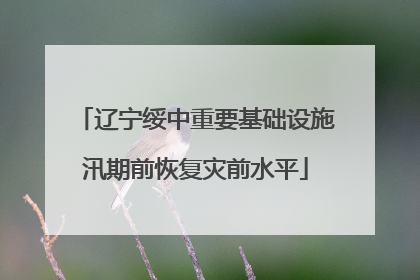 辽宁绥中重要基础设施汛期前恢复灾前水平