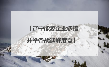 辽宁能源企业多措并举备战迎峰度夏