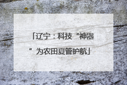 辽宁：科技“神器”为农田夏管护航