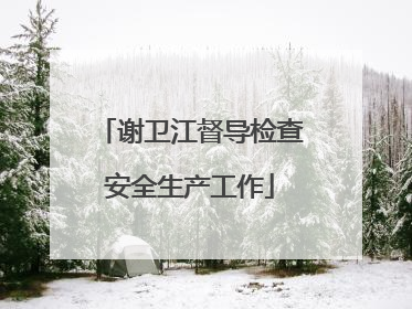 谢卫江督导检查安全生产工作