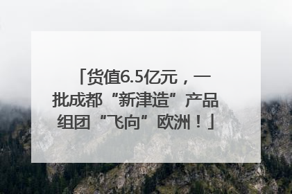 货值6.5亿元，一批成都“新津造”产品组团“飞向”欧洲！