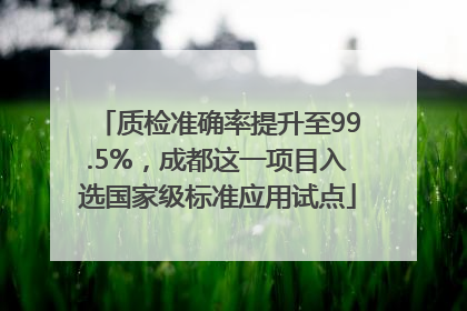 质检准确率提升至99.5%，成都这一项目入选国家级标准应用试点