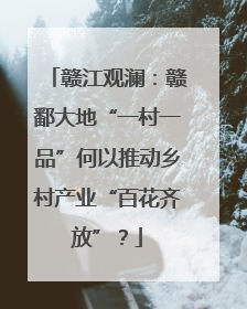 赣江观澜：赣鄱大地“一村一品”何以推动乡村产业“百花齐放”？