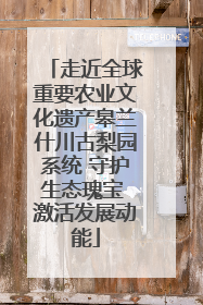走近全球重要农业文化遗产皋兰什川古梨园系统 守护生态瑰宝 激活发展动能