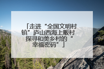走进“全国文明村镇”庐山西海上畈村 探寻和美乡村的“幸福密码”