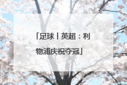 足球丨英超：利物浦庆祝夺冠