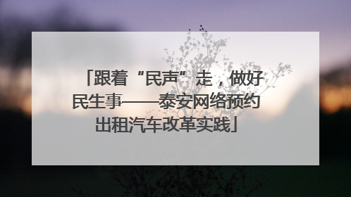 跟着“民声”走，做好民生事——泰安网络预约出租汽车改革实践