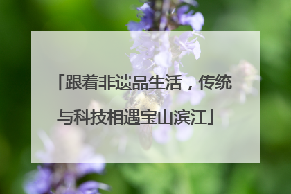 跟着非遗品生活，传统与科技相遇宝山滨江