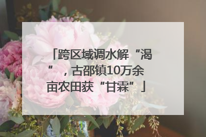 跨区域调水解“渴”，古邵镇10万余亩农田获“甘霖”