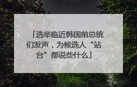 选举临近韩国前总统们发声，为候选人“站台”都说些什么