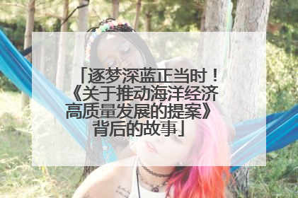 逐梦深蓝正当时！《关于推动海洋经济高质量发展的提案》背后的故事