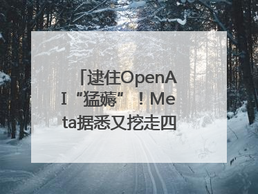 逮住OpenAI“猛薅”！Meta据悉又挖走四位知名研究人员