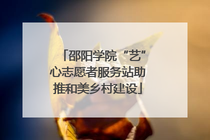 邵阳学院“艺”心志愿者服务站助推和美乡村建设