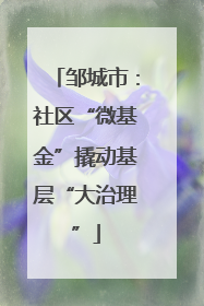 邹城市：社区“微基金”撬动基层“大治理”