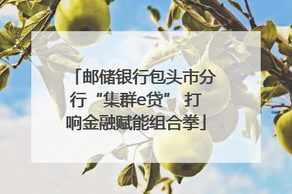 邮储银行包头市分行“集群e贷” 打响金融赋能组合拳