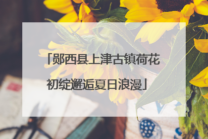 郧西县上津古镇荷花初绽邂逅夏日浪漫
