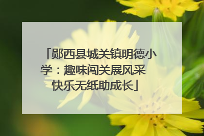 郧西县城关镇明德小学：趣味闯关展风采 快乐无纸助成长