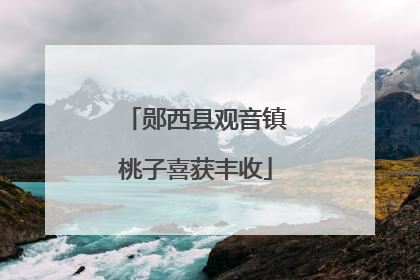 郧西县观音镇桃子喜获丰收