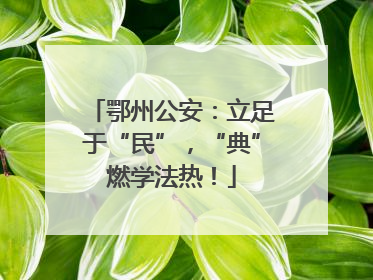 鄂州公安：立足于“民”，“典”燃学法热！