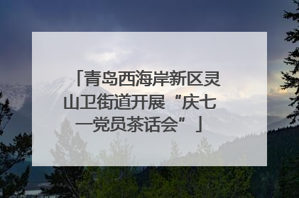 青岛西海岸新区灵山卫街道开展“庆七一党员茶话会”