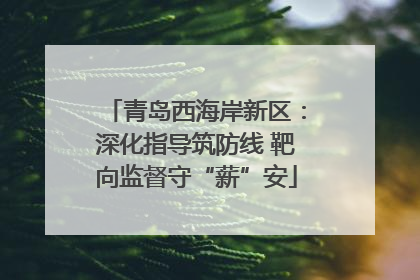 青岛西海岸新区：深化指导筑防线 靶向监督守“薪”安