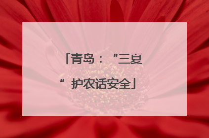 青岛：“三夏”护农话安全