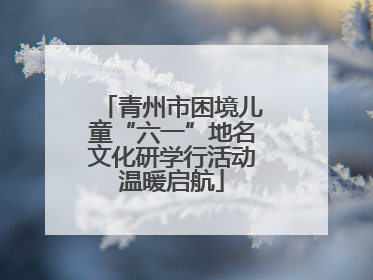 青州市困境儿童“六一”地名文化研学行活动温暖启航