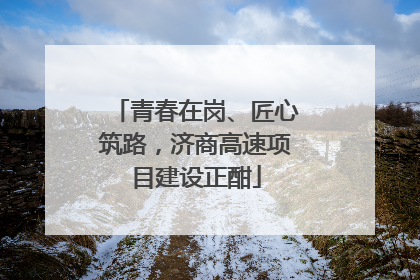 青春在岗、匠心筑路，济商高速项目建设正酣