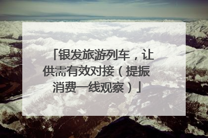 银发旅游列车，让供需有效对接（提振消费一线观察）
