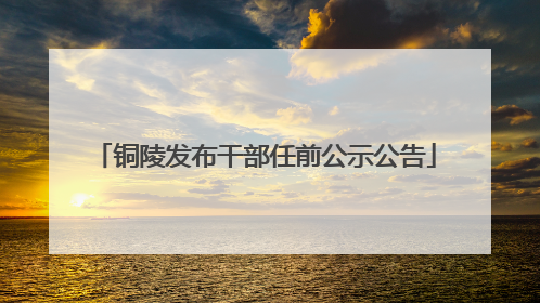 铜陵发布干部任前公示公告
