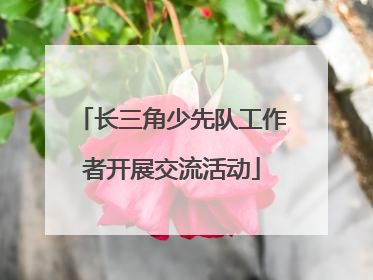 长三角少先队工作者开展交流活动