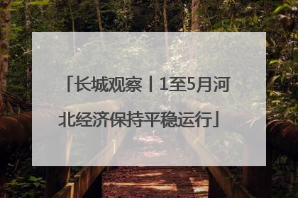 长城观察丨1至5月河北经济保持平稳运行