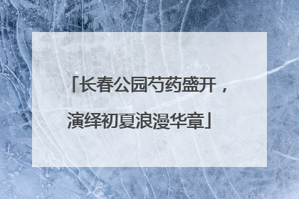 长春公园芍药盛开，演绎初夏浪漫华章