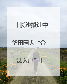 长沙拟让中华田园犬“合法入户”