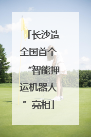 长沙造全国首个“智能押运机器人”亮相