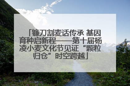 镰刀割麦话传承 基因育种启新程——第十届杨凌小麦文化节见证“颗粒归仓”时空跨越