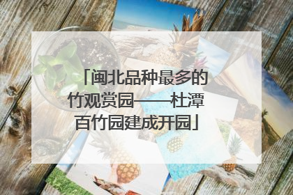 闽北品种最多的竹观赏园——杜潭百竹园建成开园