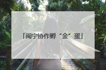 闽宁协作孵“金”蛋