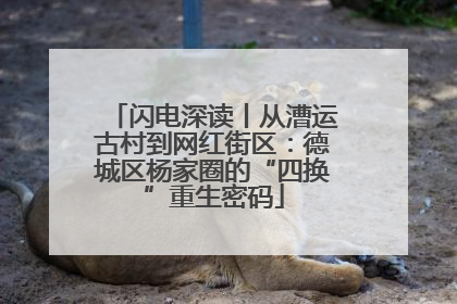 闪电深读丨从漕运古村到网红街区：德城区杨家圈的“四换”重生密码