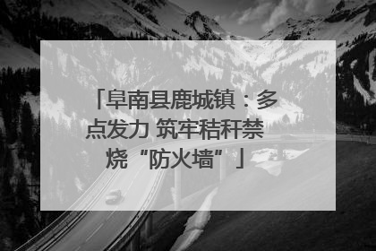 阜南县鹿城镇：多点发力 筑牢秸秆禁烧“防火墙”