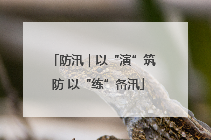 防汛｜以“演”筑防 以“练”备汛