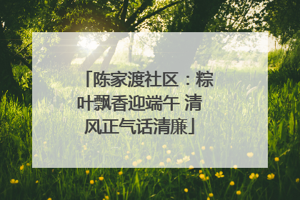 陈家渡社区：粽叶飘香迎端午 清风正气话清廉