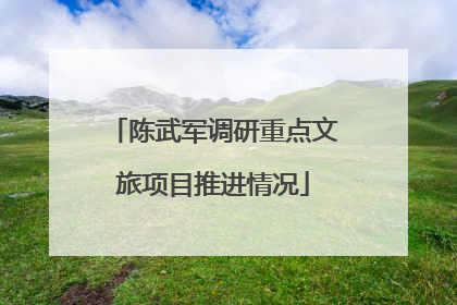陈武军调研重点文旅项目推进情况