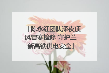 陈永红团队深夜顶风冒寒检修 守护兰新高铁供电安全