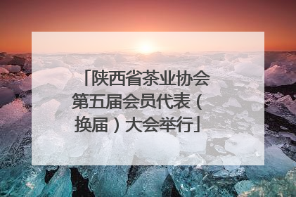 陕西省茶业协会第五届会员代表（换届）大会举行